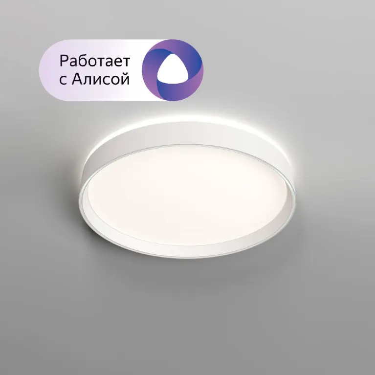 Потолочный светильник Denkirs Plato DK6510-WH/1 в Нижнем Новгороде
