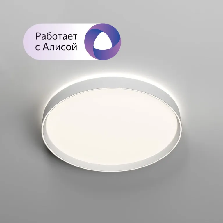 Потолочный светильник Denkirs Plato DK6511-WH/1 в Нижнем Новгороде