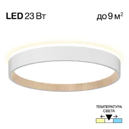 Потолочный светильник Citilux Etalon CL750240