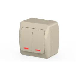Выключатель двухклавишный с подсветкой ELBI Alsu 504-010300-203