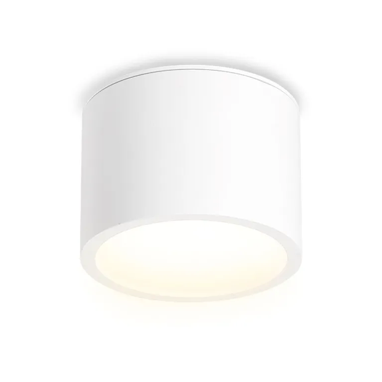 Накладной светильник Ambrella Light IP Protect TN6550 в Нижнем Новгороде