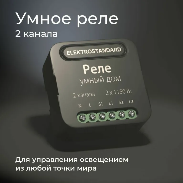 Умное двухканальное реле Elektrostandard 4690389185083 a059326 в Нижнем Новгороде
