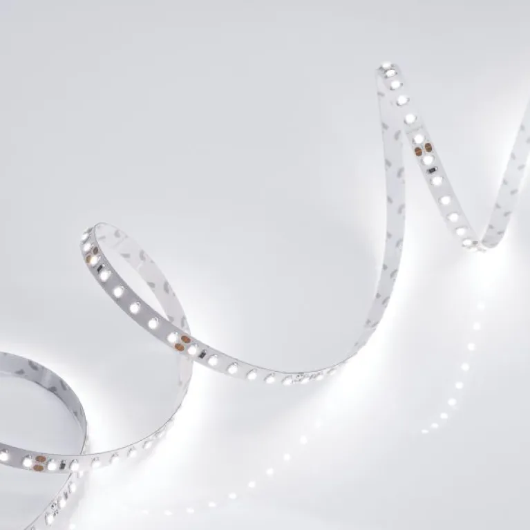 Светодиодная лента Arlight RT-A120-8mm 24V White6000 (9.6 W/m, IP20, 2835, 5m) 010347(2) в Нижнем Новгороде
