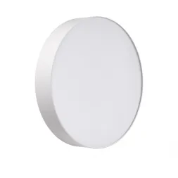 Настенно-потолочный светильник Sonex Basica Optima 7779/DLN