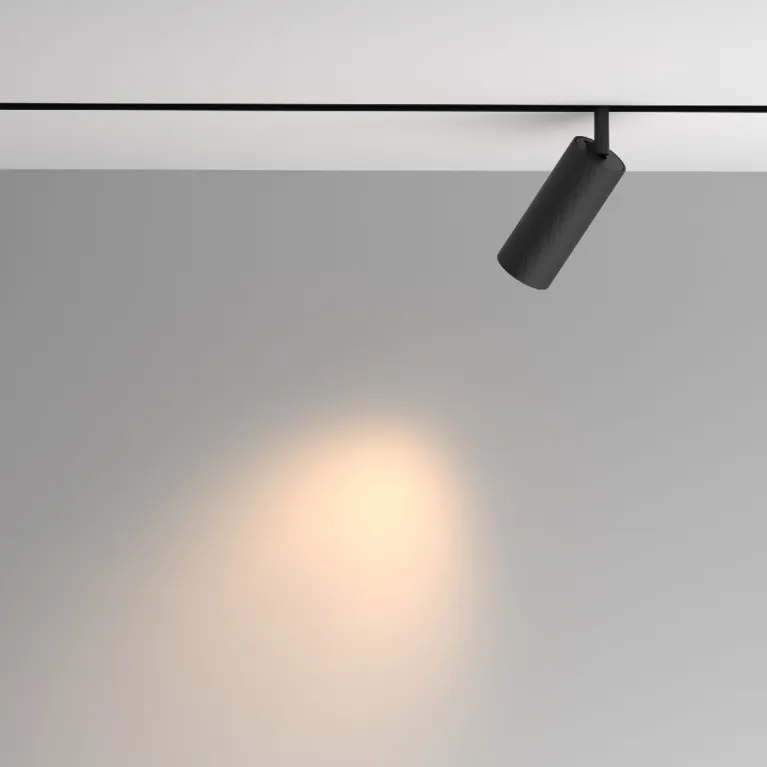 Трековый магнитный светильник Maytoni Artisan TR097-2-12W3K-M-BB в Нижнем Новгороде