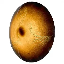 Настенный светильник Lussole Lgo Lava LSN-0912-01