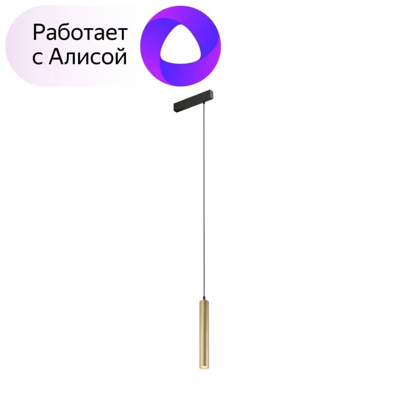 Трековый светодиодный светильник Denkirs Smart Spot DK8008-BG в Нижнем Новгороде