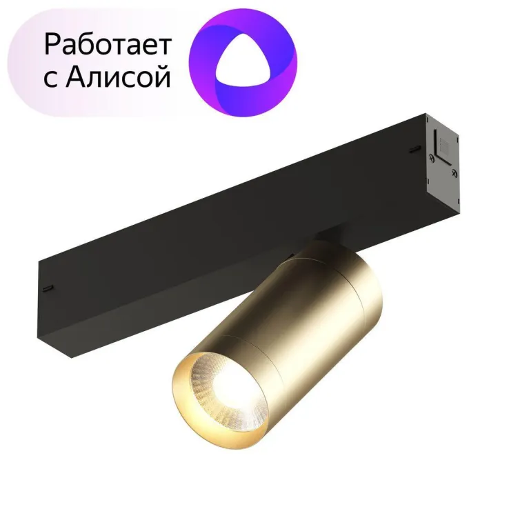 Трековый светодиодный светильник Denkirs Smart Spot DK8010-BG в Нижнем Новгороде