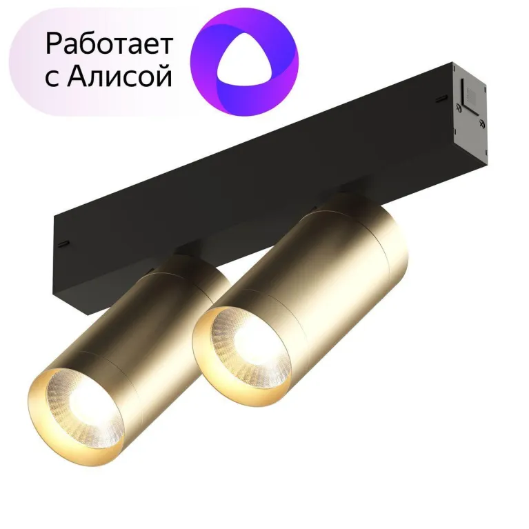 Трековый светодиодный светильник Denkirs Smart Spot DK8012-BG в Нижнем Новгороде
