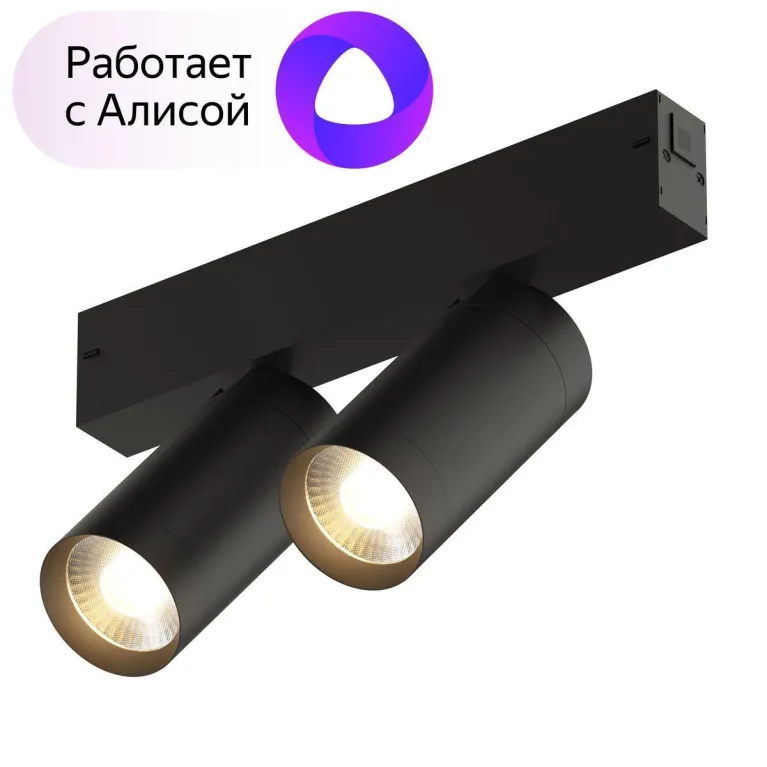 Трековый светодиодный светильник Denkirs Smart Spot DK8012-BK в Нижнем Новгороде
