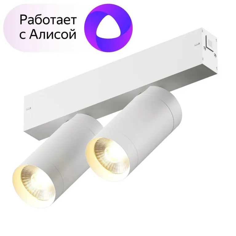 Трековый светодиодный светильник Denkirs Smart Spot DK8012-WH в Нижнем Новгороде