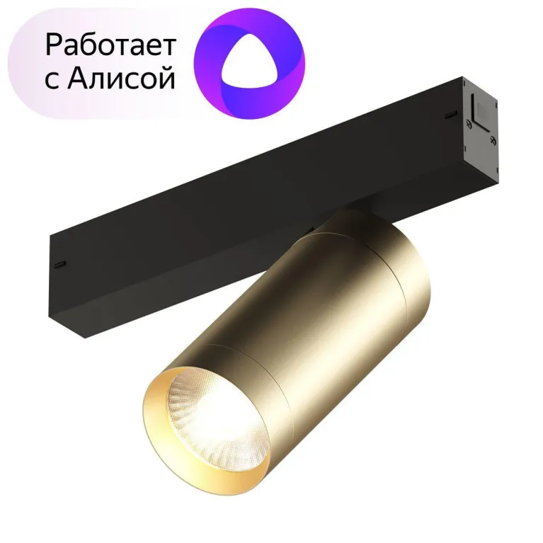 Трековый светодиодный светильник Denkirs Smart Spot DK8020-BG в Нижнем Новгороде
