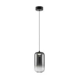 Подвесной светильник Freya Idol FR6134PL-L4SM