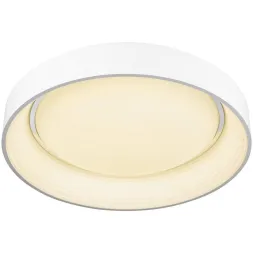 Потолочный светодиодный светильник Wertmark Cerchio WE412.02.027