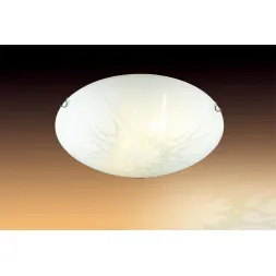 Потолочный светильник Sonex Nori 250