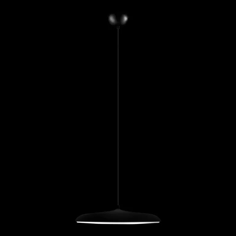 Подвесной светодиодный светильник Loft IT Plato 10119 Black в Нижнем Новгороде