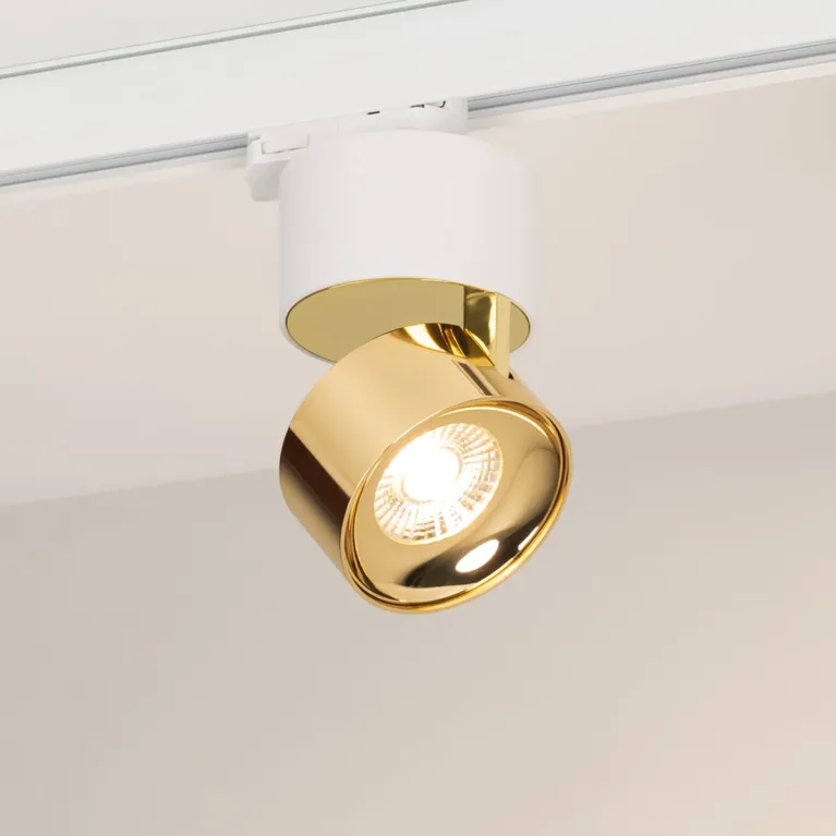 Трековый трехфазный светильник Arlight SP-PLURIO-TRACK-4TR-R77-9W Day4000 (WH-BRS, 230V) 038100 в Нижнем Новгороде