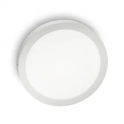 Настенно-потолочный светодиодный светильник Ideal Lux Universal D17 Round