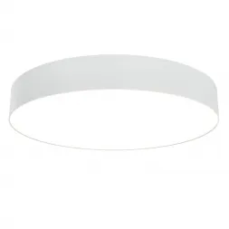 Потолочный светодиодный светильник Maytoni Technical Zon C032CL-L48W3K