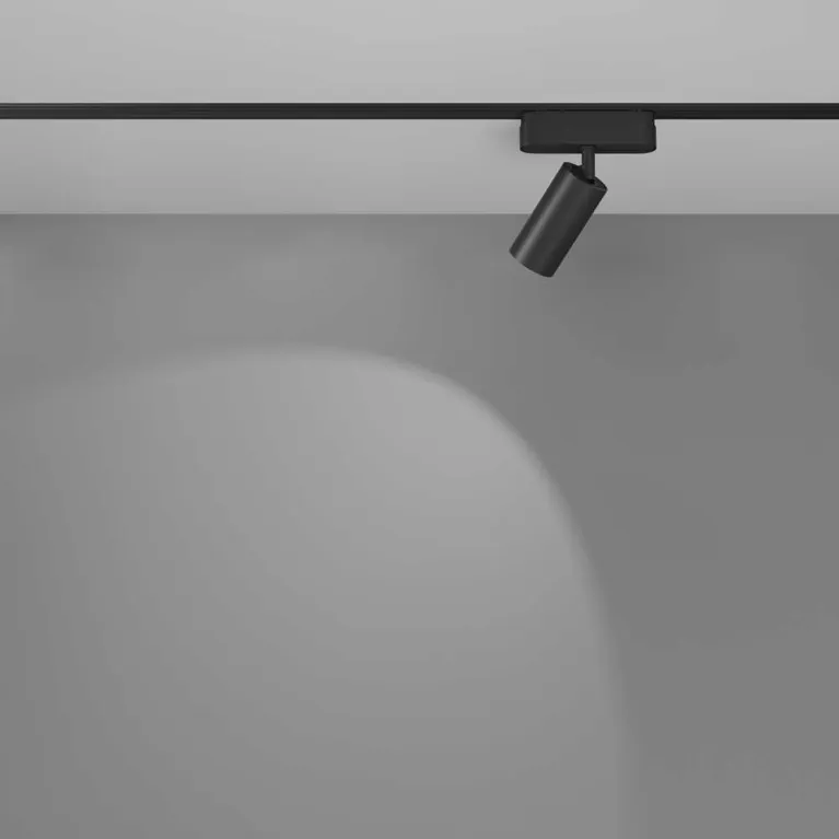 Трековый светодиодный светильник Maytoni Technical Focus LED Radity TR103-1-12W4K-M-B в Нижнем Новгороде