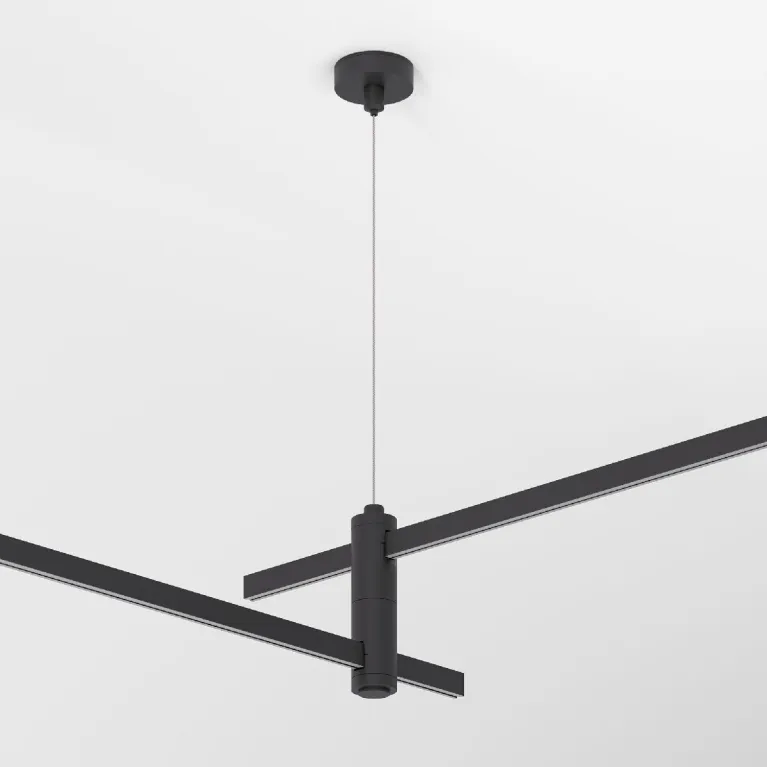 Набор для подвеса двойной Elektrostandard Esthetic Magnetic 4690389202346 85156/00 a065440 в Нижнем Новгороде
