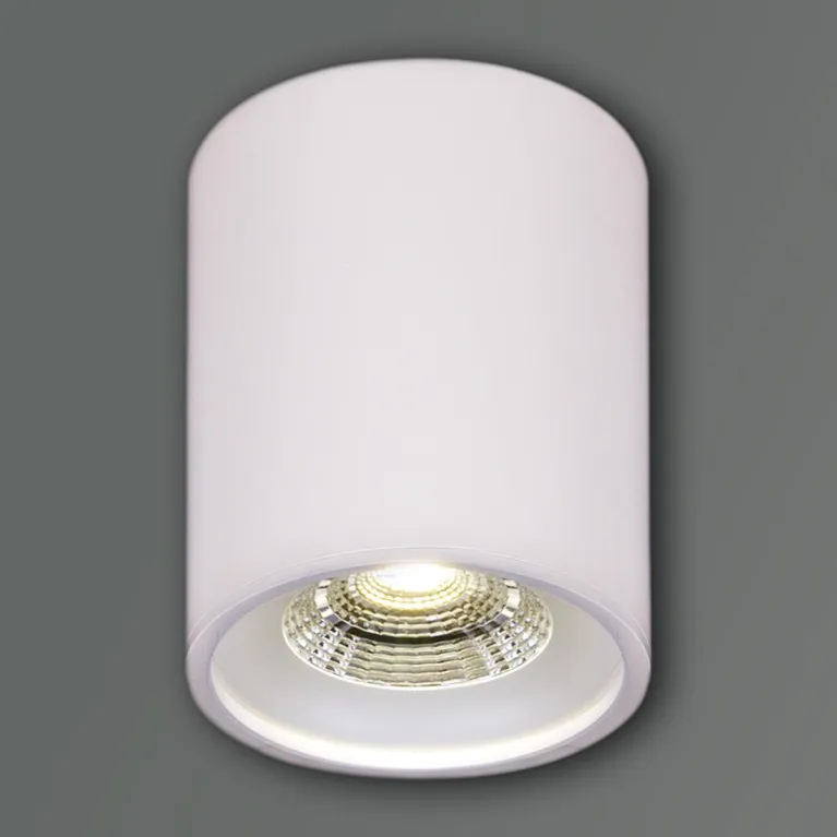Накладной светильник Reluce 81117-9.5-001RT LED10W WT в Нижнем Новгороде