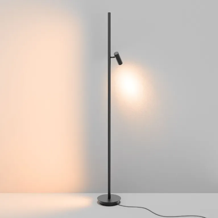 Торшер Maytoni Thin MOD395FL-L28B3K в Нижнем Новгороде
