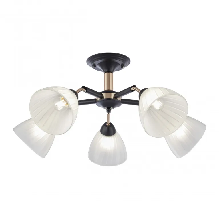 Люстра на штанге Arte Milano Napoli 324108/5 BK+FG в Нижнем Новгороде