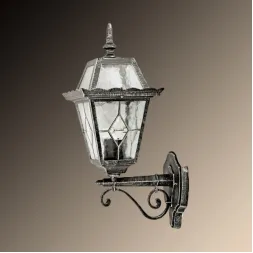 Уличный настенный светильник Arte Lamp Paris A1351AL-1BS