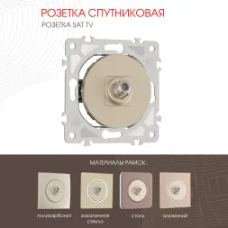 Розетка спутниковая SAT TV Arte Milano 202.42-1.shampan