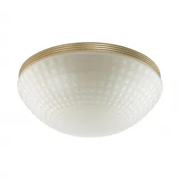 Потолочный светильник Odeon Light Malaga 4936/3C