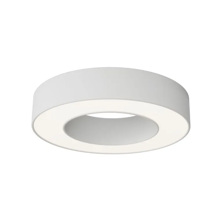 Потолочный светильник Maytoni Technical Lua C093CL-24W4K-W в Нижнем Новгороде