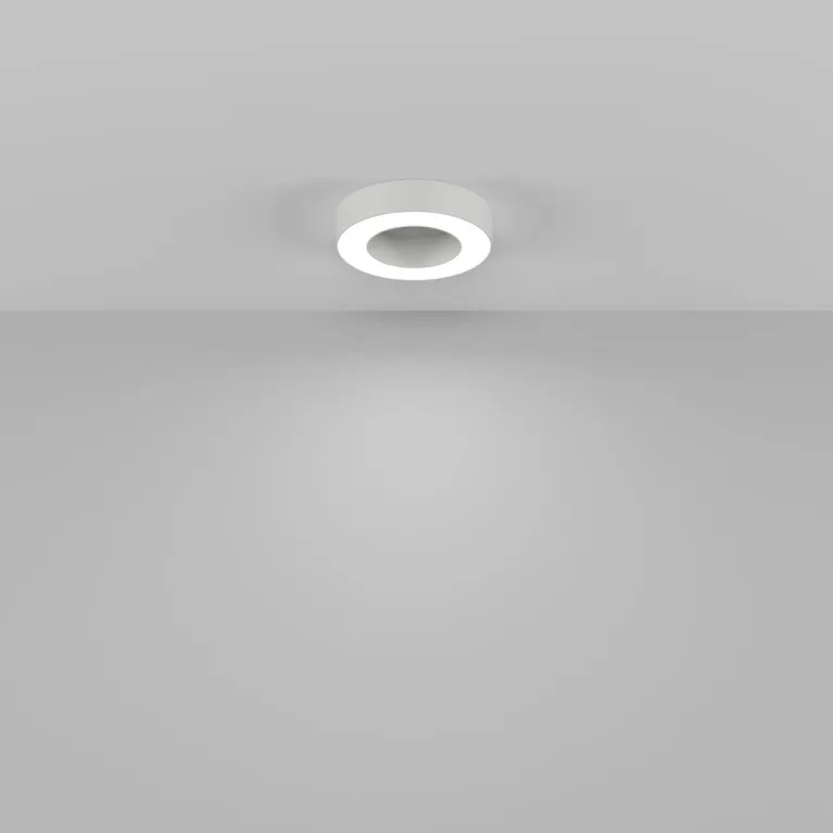 Потолочный светильник Maytoni Technical Lua C093CL-24W4K-W в Нижнем Новгороде