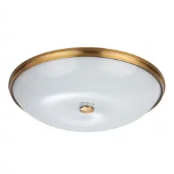 Потолочный светильник Odeon Light Pelow 4956/6