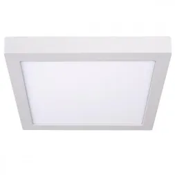 Потолочный светодиодный светильник Kanlux Kanti 33557