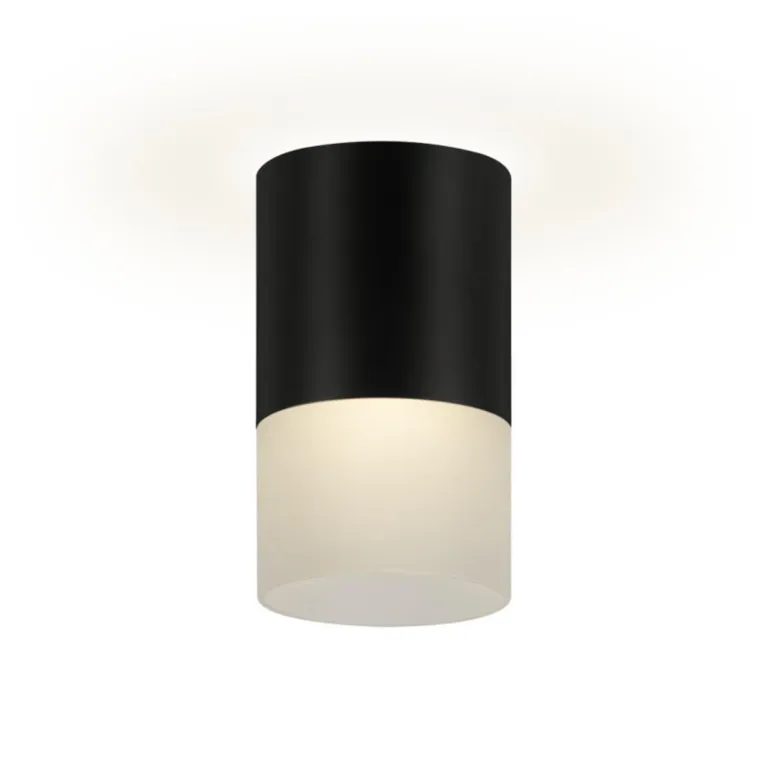 Накладной потолочный светильник Ritter Essen RCS-65MR16-BL 52060 3 в Нижнем Новгороде