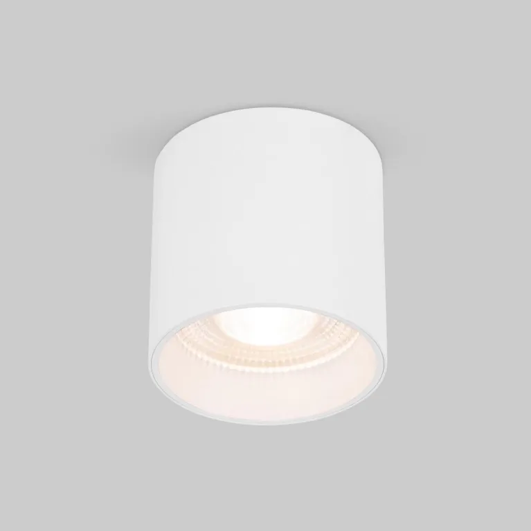 Накладной светодиодный светильник Elektrostandard Orson 25034/LED 10W 4200K белый a062930 в Нижнем Новгороде