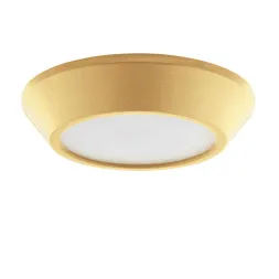 Потолочный светодиодный светильник Lightstar Urbano mini 214732