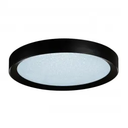 Потолочный светодиодный светильник iLedex Stardust WL X8839-650R BK