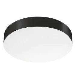 Накладной светодиодный светильник Arlight IM-FLOWER-EMERGENCY-3H-R280-15W Day4000-MIX (BK, 110 deg, 