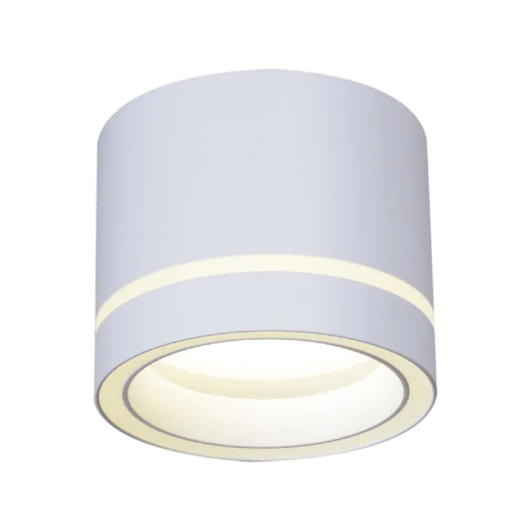 Накладной светильник Reluce 53003-9.5-001LD GX53 WT в Нижнем Новгороде