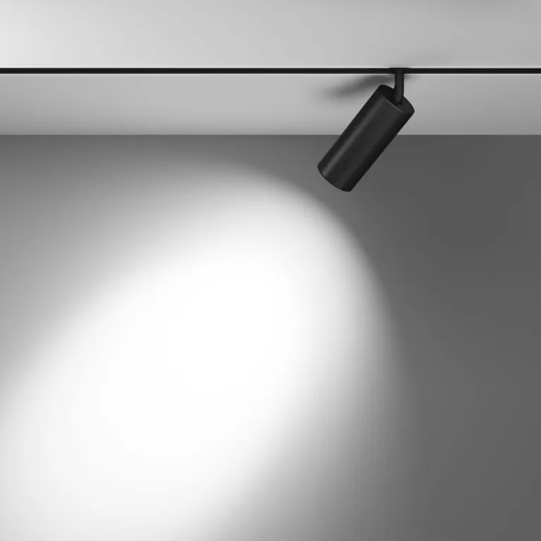 Трековый магнитный светильник Maytoni Focus LED TR032-4-20WTW-M-DD2-B в Нижнем Новгороде