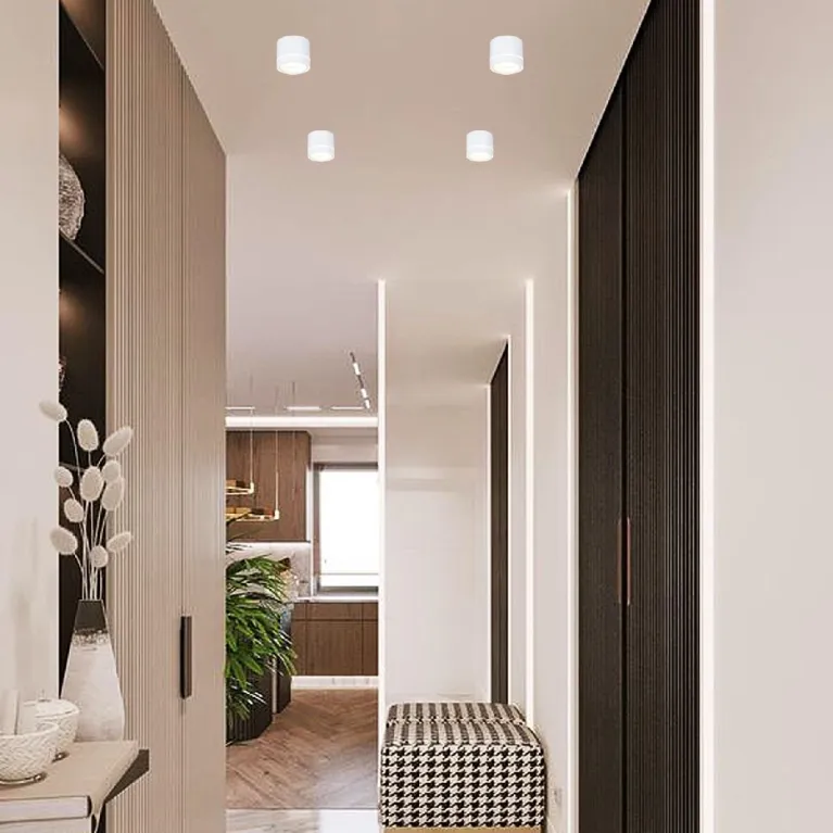 Накладной светильник Reluce 53003-9.5-001LD GX53 WT в Нижнем Новгороде