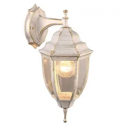 Уличный настенный светильник Arte Lamp Pegasus A3152AL-1WG