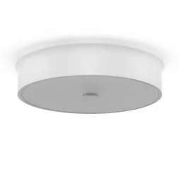 Потолочный светодиодный светильник Freya Cells FR10011CL-L24W