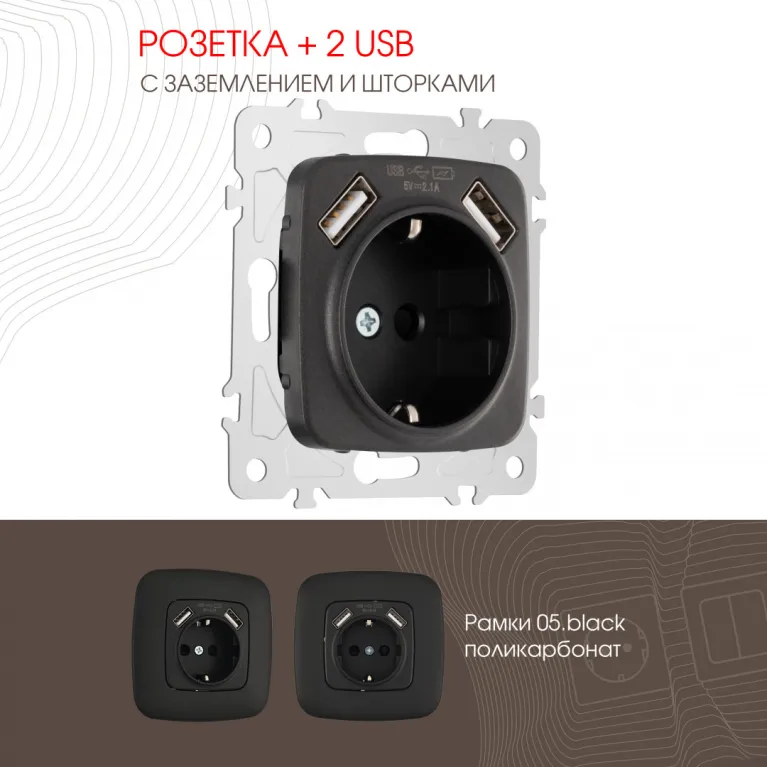 Розетка с заземлением, шторками + 2 USB Arte Milano 205.47-1.black в Нижнем Новгороде