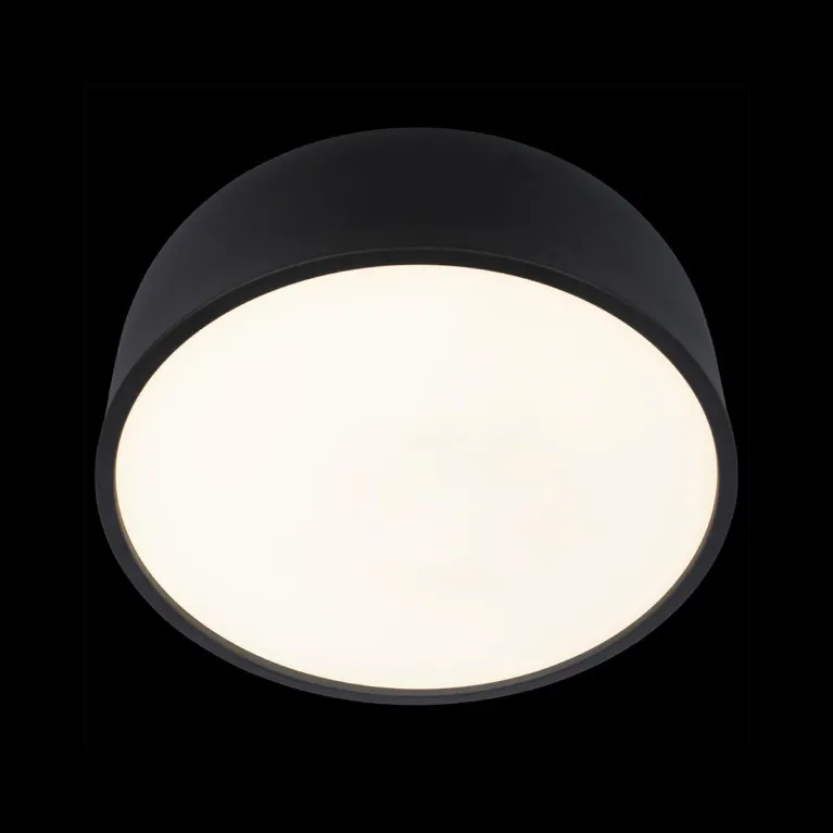 Потолочный светодиодный светильник Loft IT Axel 10201/350 Black в Нижнем Новгороде