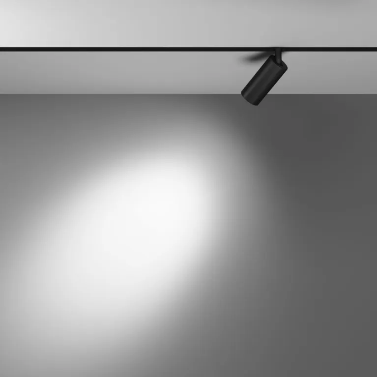 Трековый магнитный светильник Maytoni Focus LED TR032-4-5WTW-M-DD2-B в Нижнем Новгороде