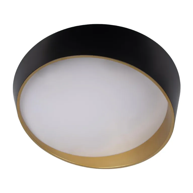 Потолочный светодиодный светильник Loft IT Coin 10199 Black в Нижнем Новгороде
