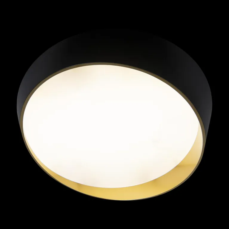 Потолочный светодиодный светильник Loft IT Coin 10199 Black в Нижнем Новгороде
